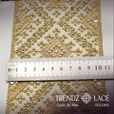 Fancy Lace – JIL-1984 - 9 MTR | Trendz Lace